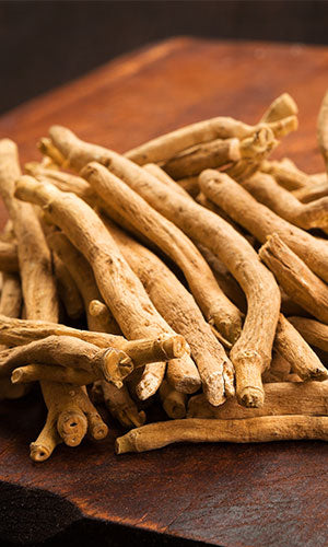 Science Says Ashwagandha Can Unleash Your Inner Athlete