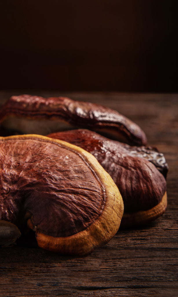 Reishi Mushroom: The King of Adaptogens for Immune Support, Stress Reduction, and Sleep Enhancement